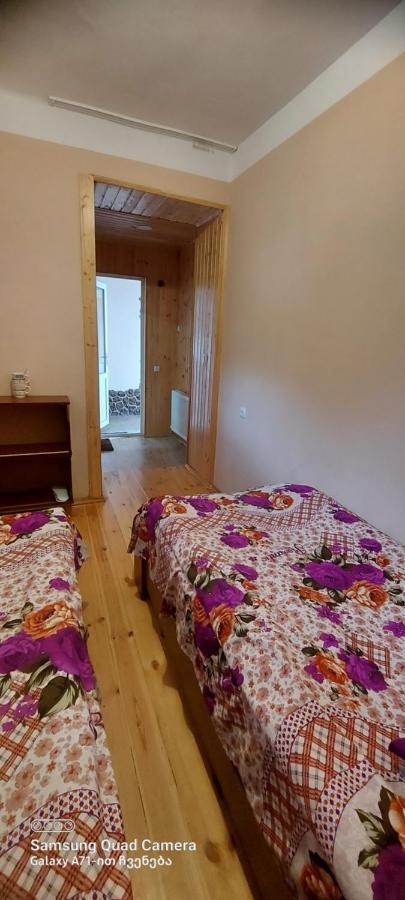 Guest House Sabauri Kazbegi Εξωτερικό φωτογραφία