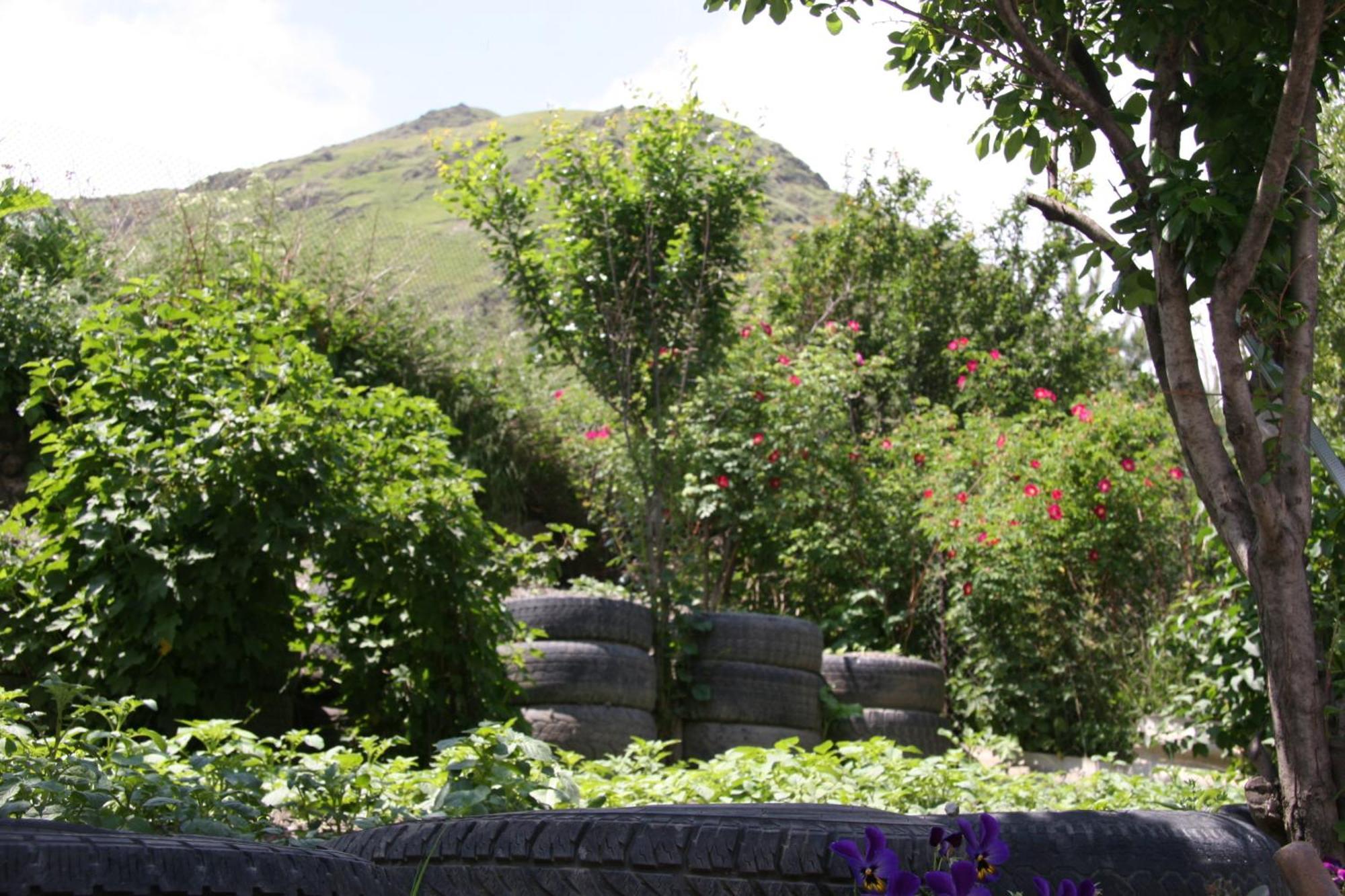 Guest House Sabauri Kazbegi Εξωτερικό φωτογραφία