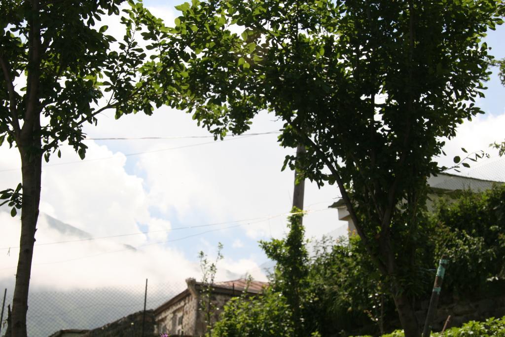 Guest House Sabauri Kazbegi Εξωτερικό φωτογραφία