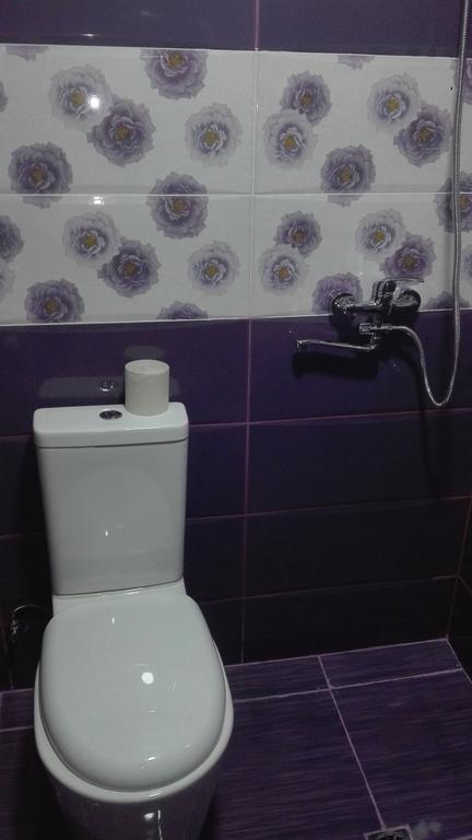 Guest House Sabauri Kazbegi Εξωτερικό φωτογραφία